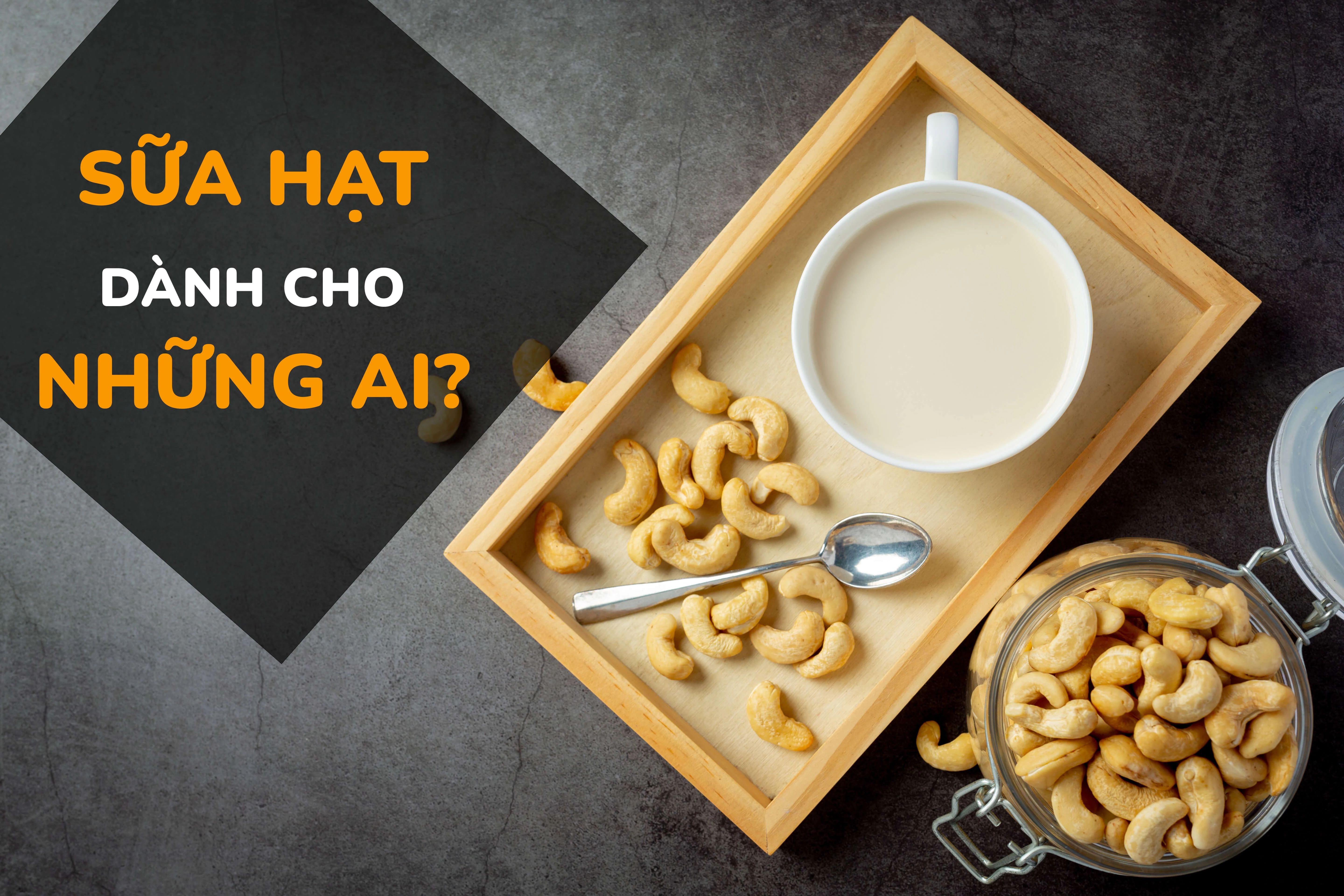 Sữa hạt dành cho những ai?