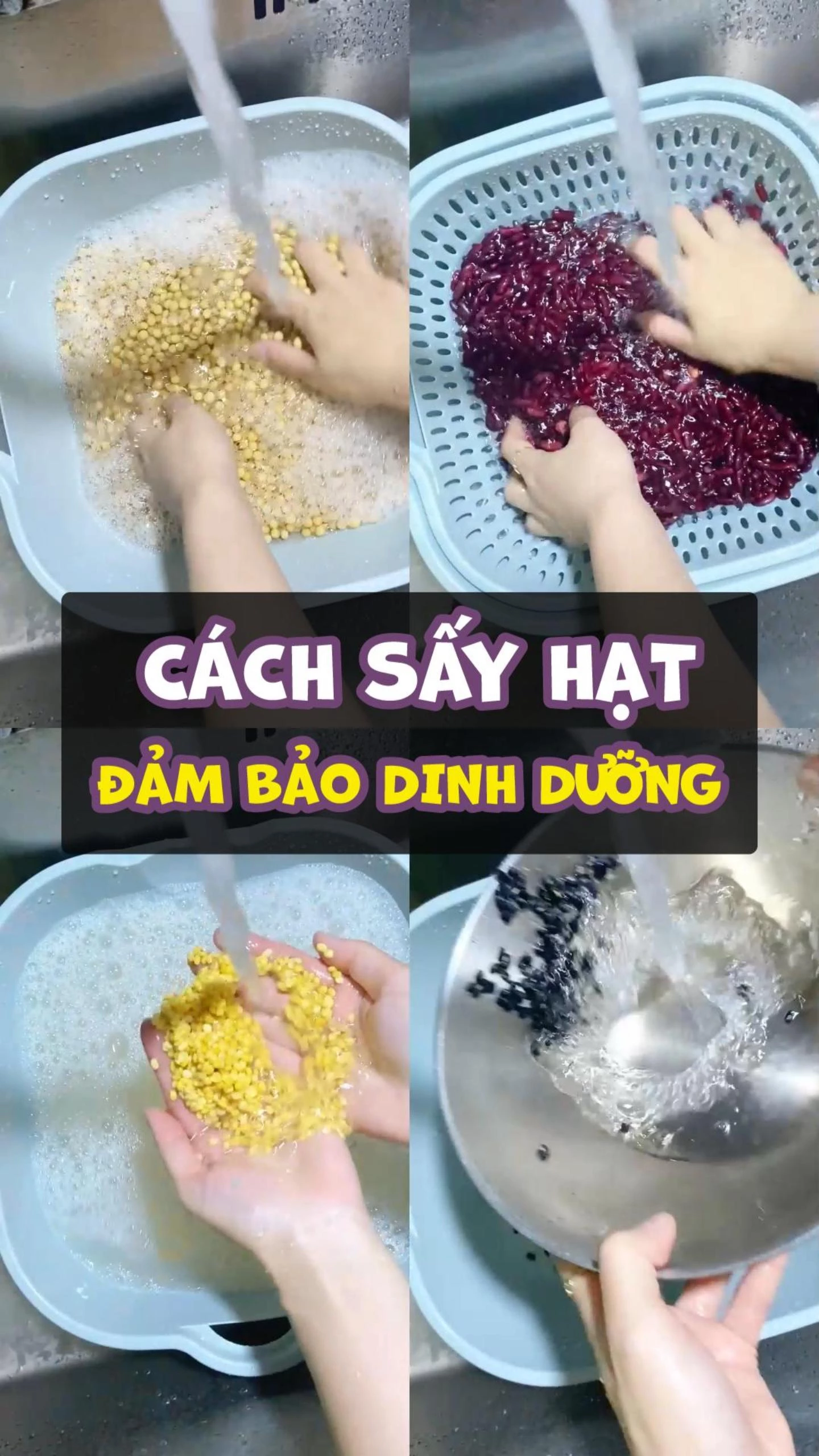 Cách sấy các loại hạt làm sữa đảm bảo dinh dưỡng