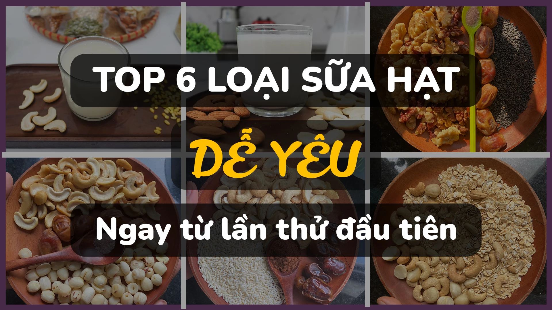 Top những loại sữa hạt thơm ngon, dễ uống nhất