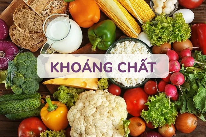 Khoáng Chất Là Gì? Lợi Ích Cho Sức Khỏe Nguồn Thực Phẩm Và Cách Bổ Sung An Toàn
