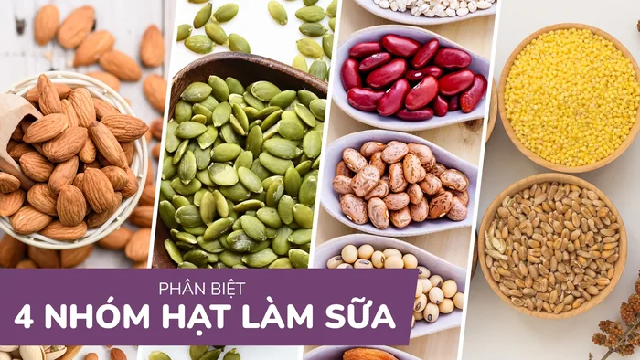 4 nhóm hạt chính để làm sữa hạt. Đặc điểm - tính chất - tỉ lệ sử dụng của từng nhóm hạt