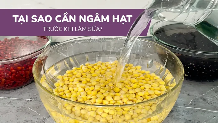 Tại sao cần ngâm hạt trước khi làm sữa? Lý do cần ngâm hạt.