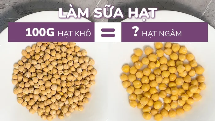 Lấy bao nhiêu hạt đã ngâm để làm sữa hạt? Tỉ lệ hạt khô và hạt đã ngâm